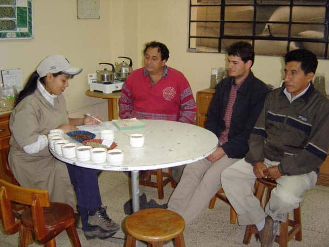 Analyse du café au labo de Lima